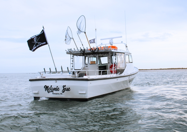 chesapeake bay fishing charters