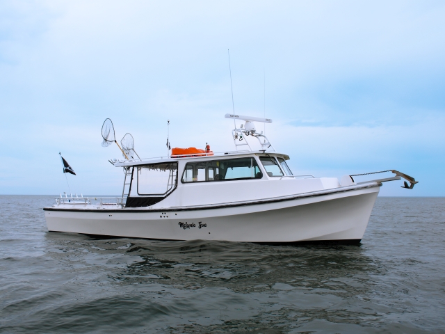 chesapeake bay charter fishing